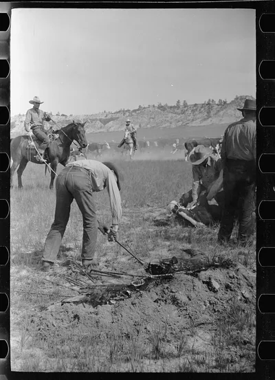 Branding, Quarter Circle U Ranch roundup, Montana, 1939