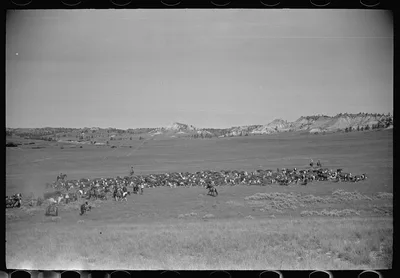 Quarter Circle U roundup, Montana, 1939