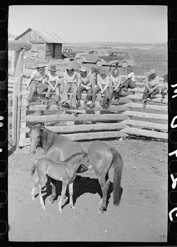 Mare and colt, Quarter Circle U roundup, Montana, 1939
