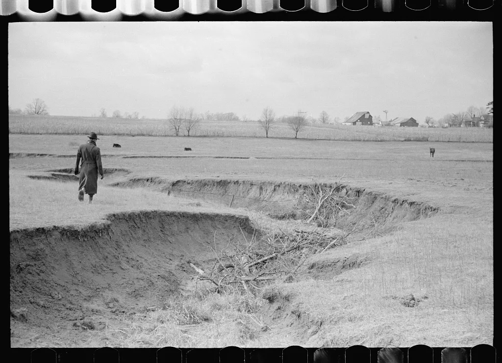 Gully erosion, Parke County, Indiana, 1940