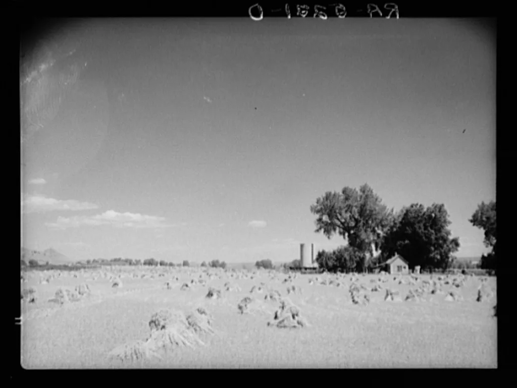 Farm near Denver, Colorado, 1936