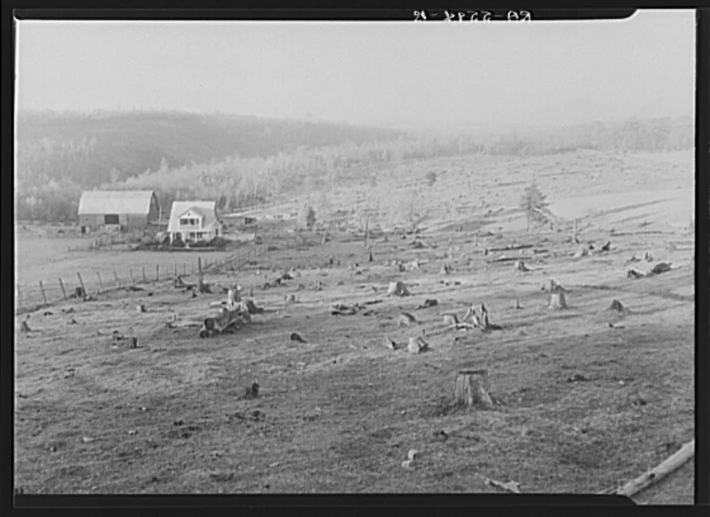 Stump fields. Garrett County, Maryland, 1936