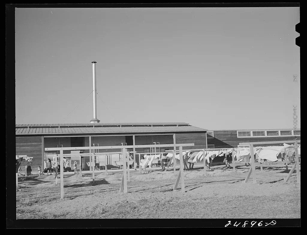 Community clothesline. FSA (Farm Security Administration) camp,…, Texas, 1942