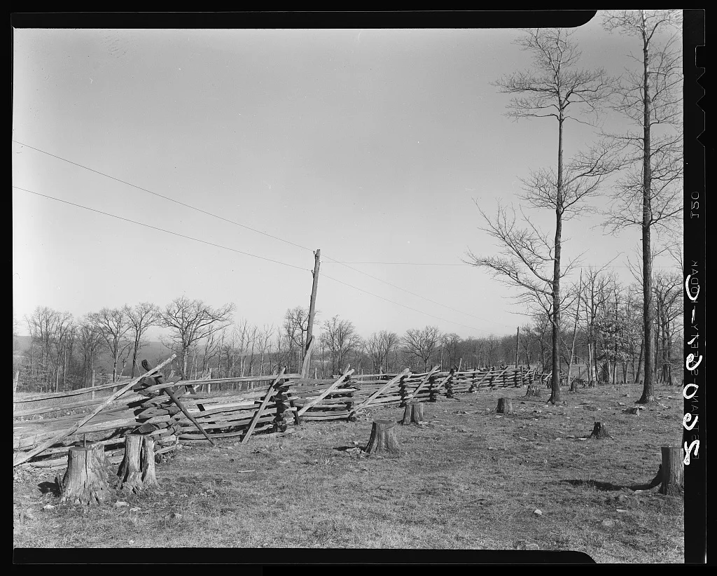 Rail fence. Garrett County, Maryland, 1937