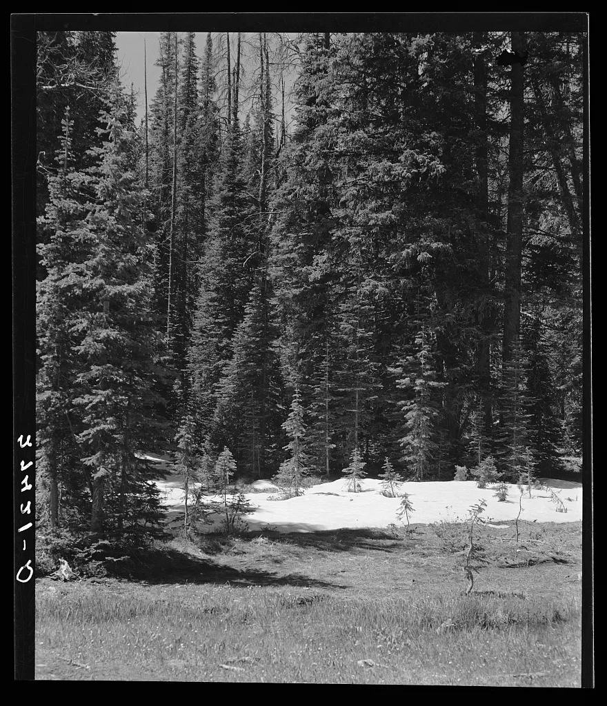 Melting snows on Skalkaho Pass. Montana, 1939