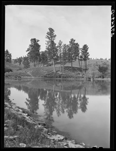 Stock water dam. Big Horn County, Montana, 1939
