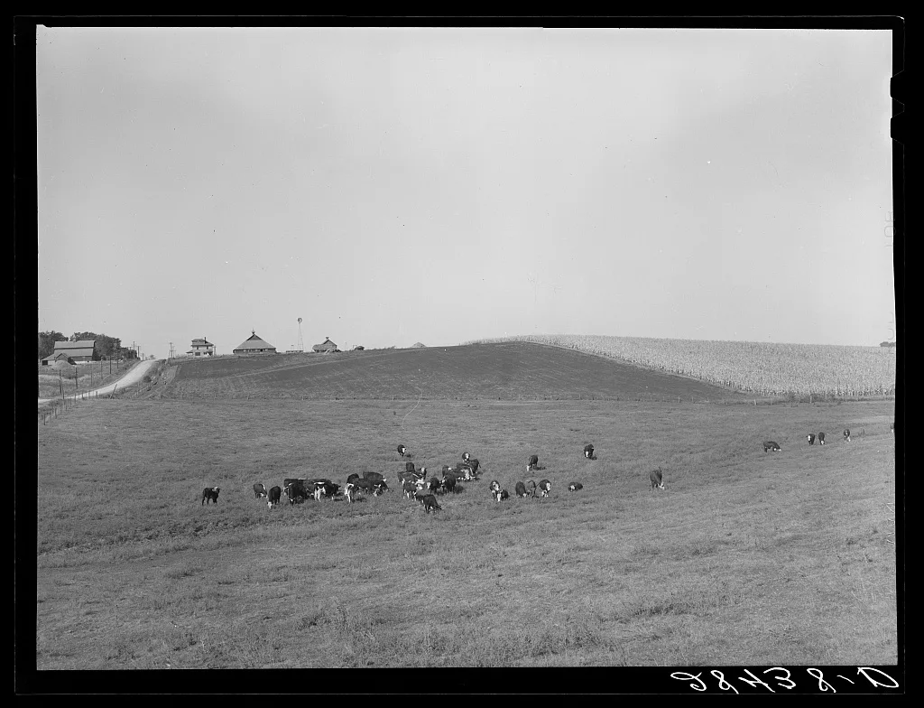 Farm. Marshall County, Iowa, 1939