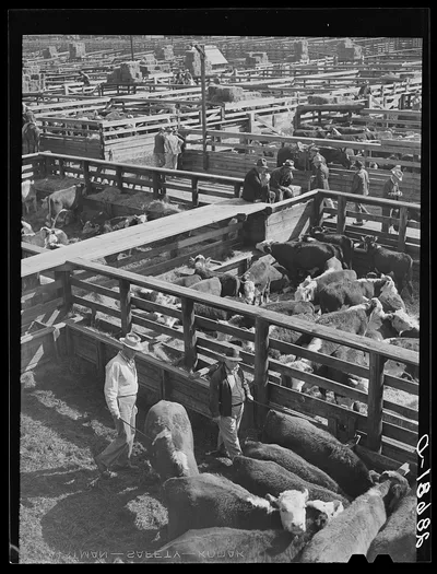 Stockyards. Denver, Colorado, 1939