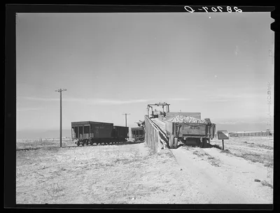 [Untitled photo, possibly related to: Loading freight cars for the…, Colorado, 1939