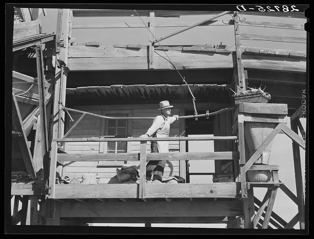 At the sugar beet unloading station a sample of each farmer's load is…, Colorado, 1939