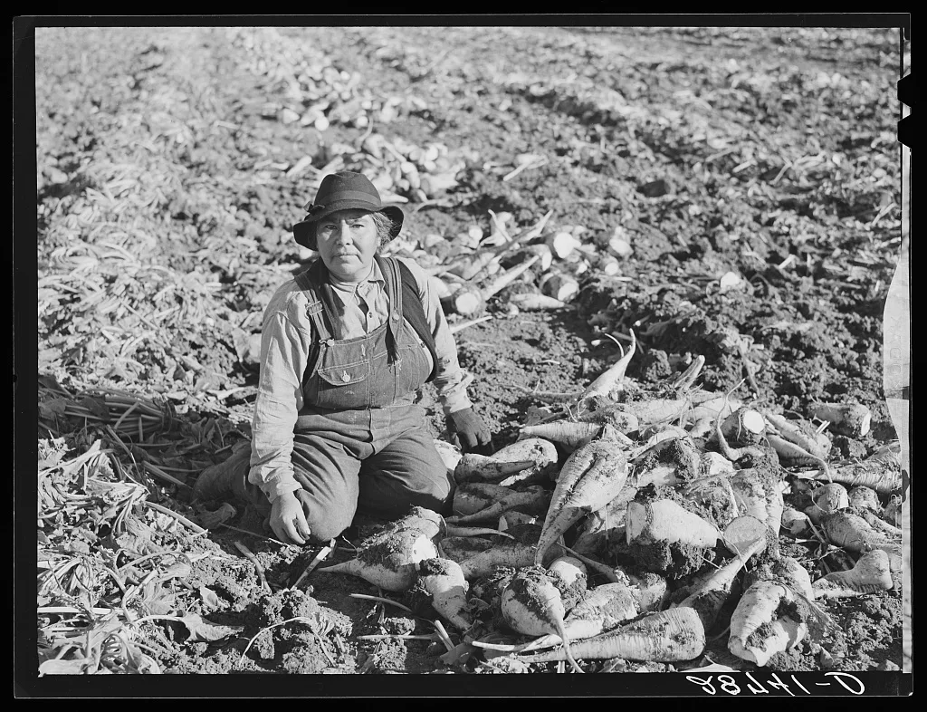Indian woman sugar beet worker from Oklahoma. Adams County, Colorado, 1939