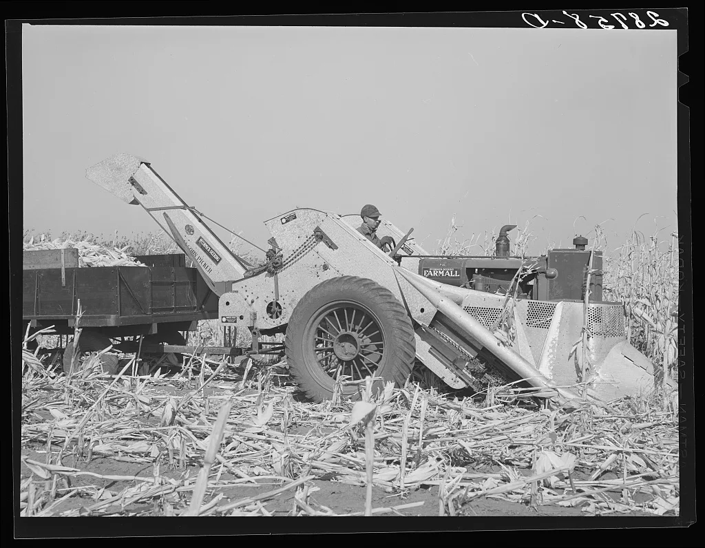 [Untitled photo, possibly related to: Mechanical corn picker. Fred…, Iowa, 1939
