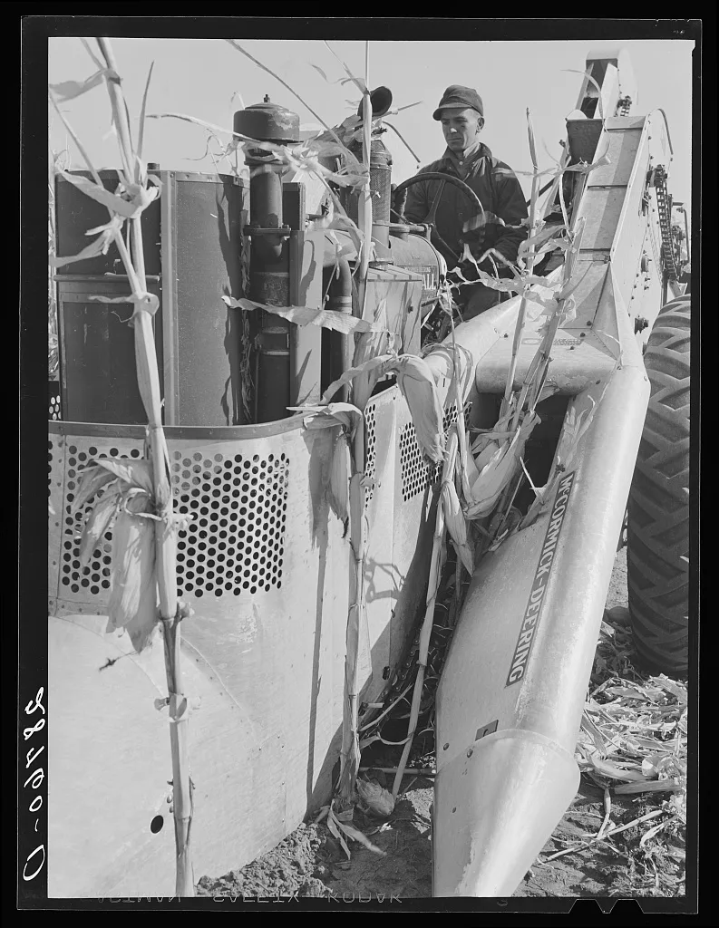 Mechanical corn picker. Fred Coulter farm. Grundy County, Iowa, 1939