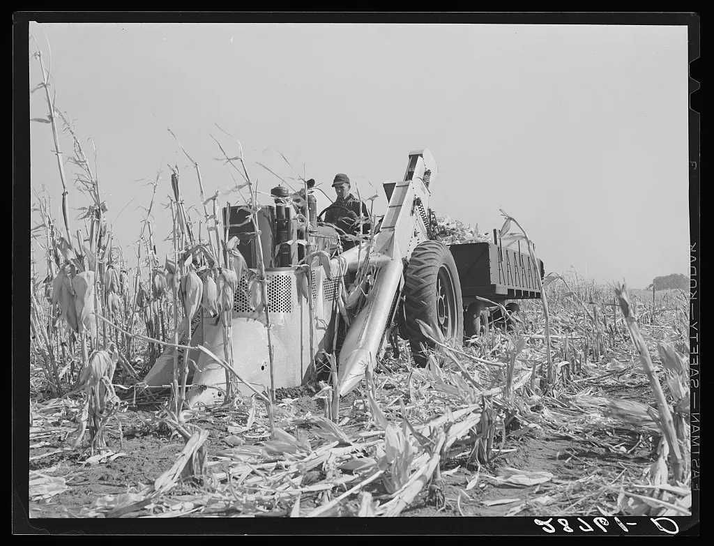 Mechanical corn picker. Fred Coulter farm. Grundy County, Iowa, 1939