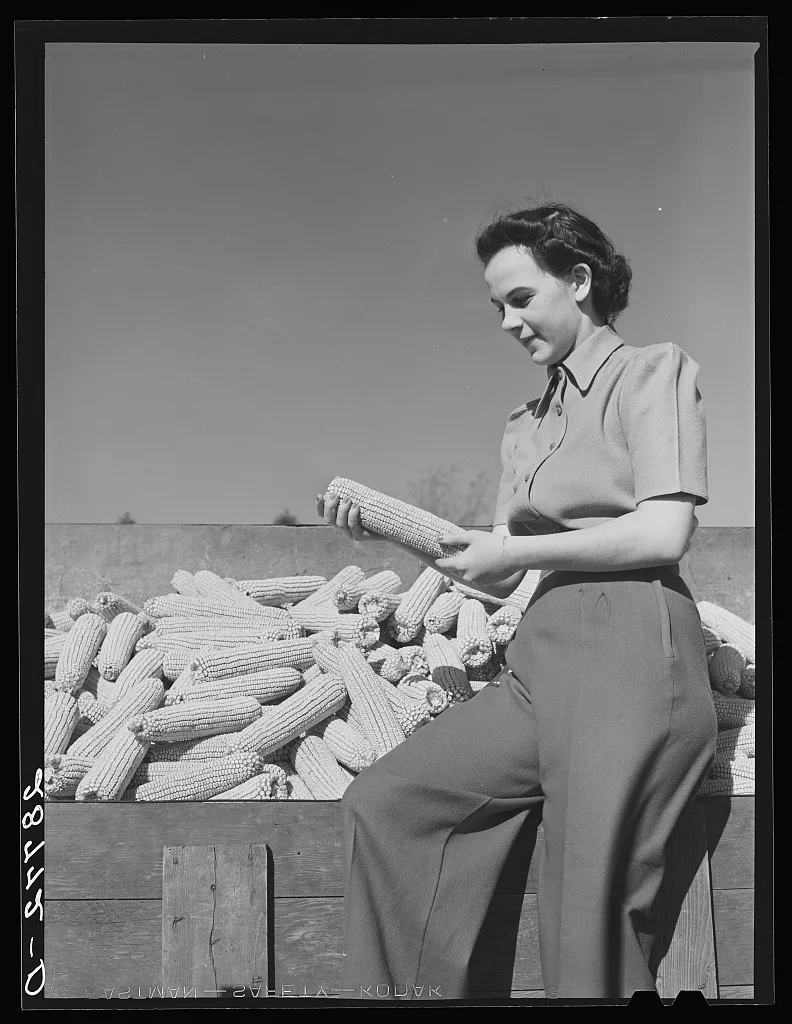 Mary Ellen Clarke with hybrid seed corn. Grundy County, Iowa, 1939