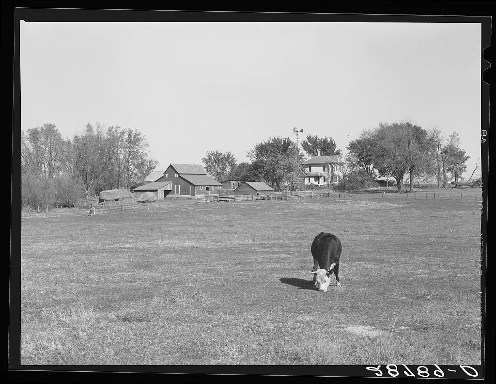 [Untitled photo, possibly related to: Farm. Grundy County, Iowa], 1939
