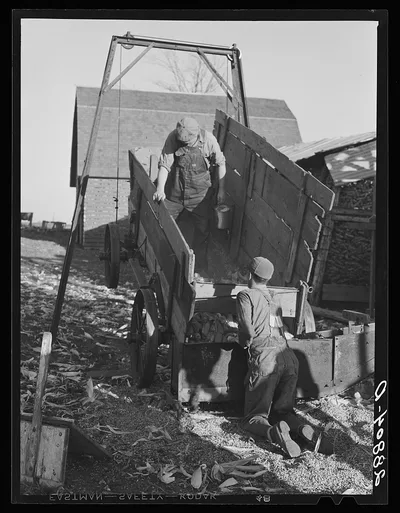 [Untitled photo, possibly related to: Unloading corn into elevator…, Iowa, 1939