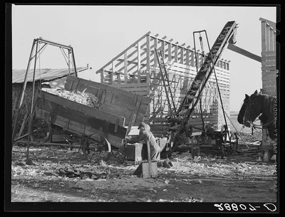 [Untitled photo, possibly related to: During an abundant harvest many…, Iowa, 1939