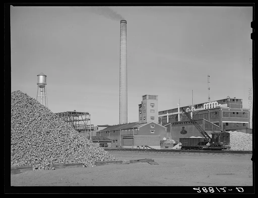 Sugar beet factory. Brighton, Colorado, 1939
