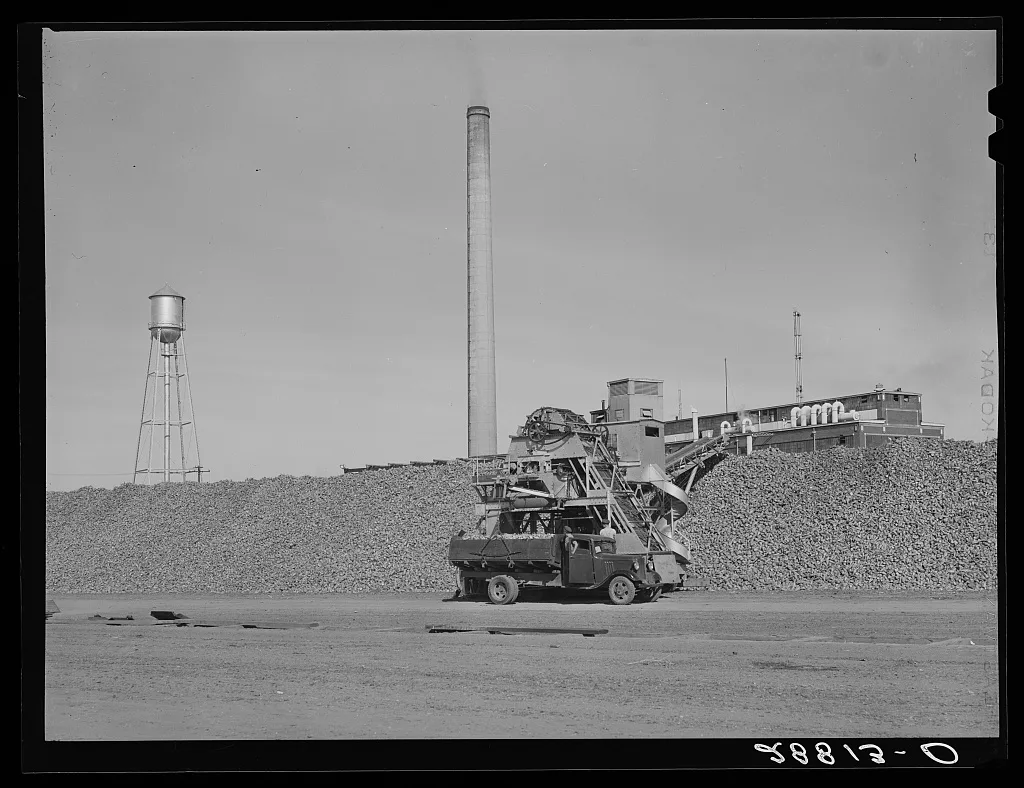 Sugar beet factory. Brighton, Colorado, 1939