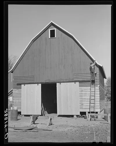 Painting a new corn crib. Grundy County, Iowa, 1939