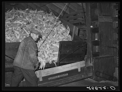 [Untitled photo, possibly related to: Unloading corn for storage.…, Iowa, 1939