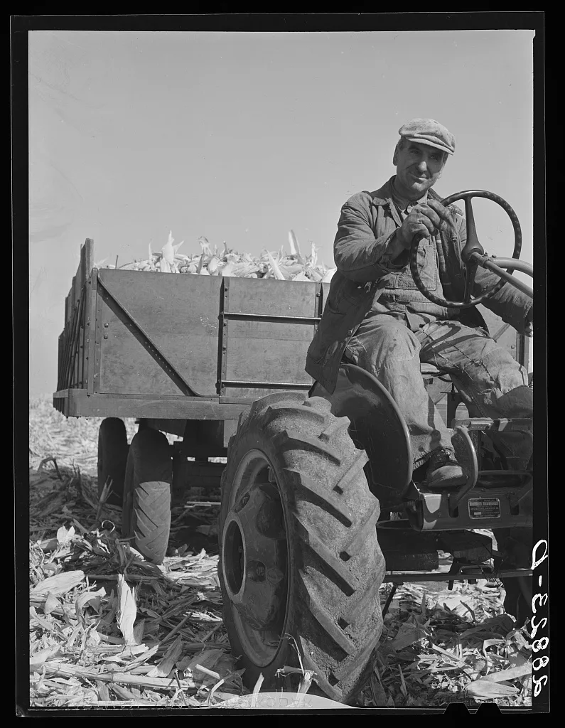 Fred Coulter with load of hybrid corn. Grundy County, Iowa, 1939