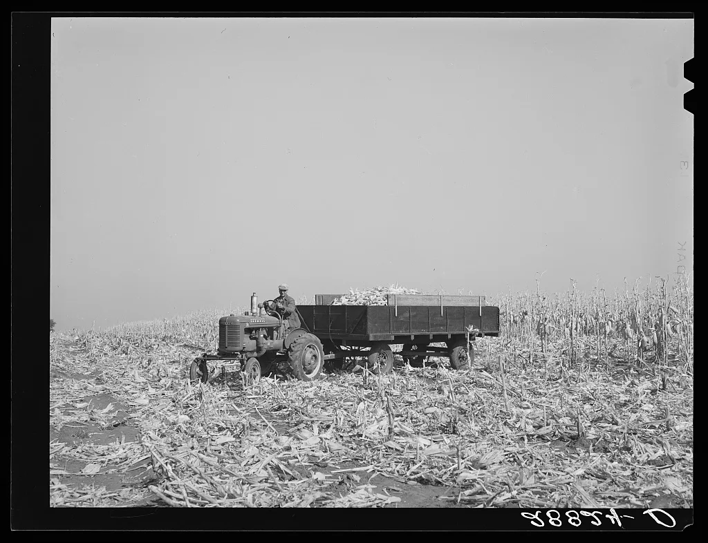 Fred Coulter with load of hybrid corn. Grundy County, Iowa, 1939