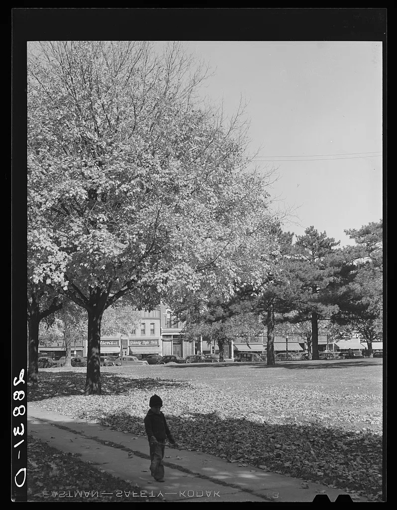 Autumn leaves on courthouse lawn. Grundy Center, Iowa, 1939