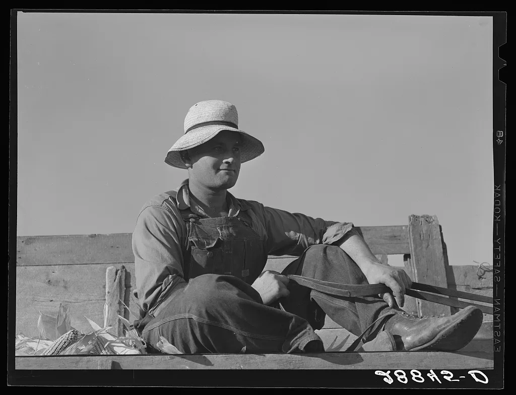 Hired hand brings in load of corn. Grundy County, Iowa, 1939