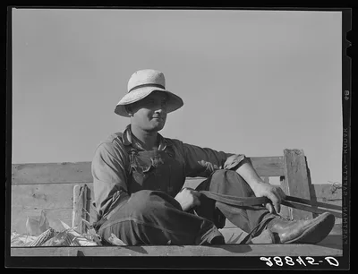 Hired hand brings in load of corn. Grundy County, Iowa, 1939