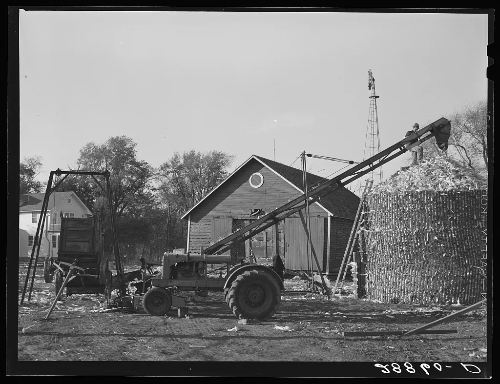 Storing corn during harvest. Grundy County, Iowa, 1939