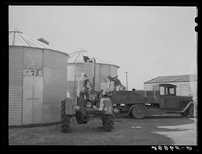 Storing corn in ever-normal granary bins. Grundy Center, Iowa, 1939