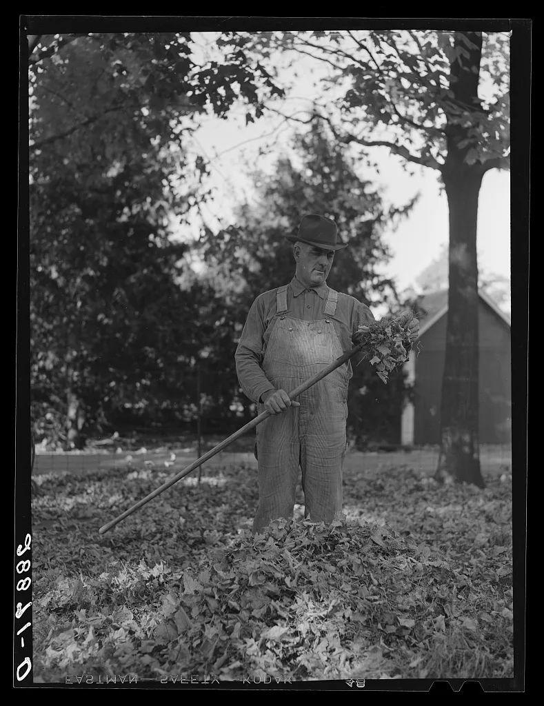Farmer raking leaves. Grundy County, Iowa, 1939