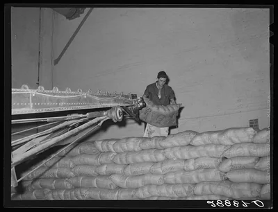 Storing bags of sugar at beet factory. Brighton, Colorado, 1939