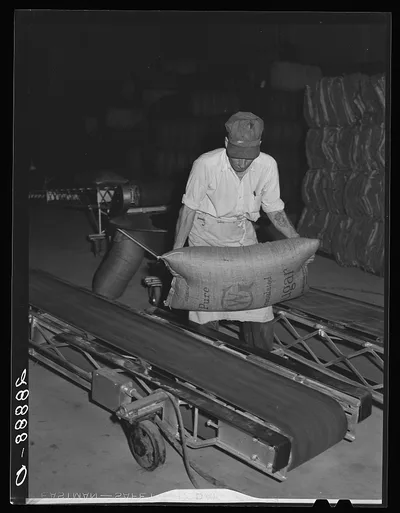 Conveyors used for storing bags of sugar. Brighton, Colorado, 1939