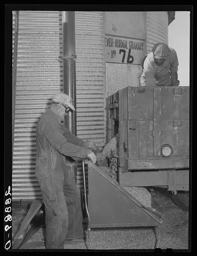 Storing corn in ever-normal granary bin. Grundy Center, Iowa, 1939