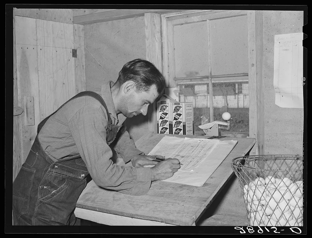 Careful records are kept of egg production. Hillview Cooperative.…, Missouri, 1939