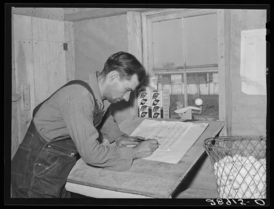 Careful records are kept of egg production. Hillview Cooperative.…, Missouri, 1939