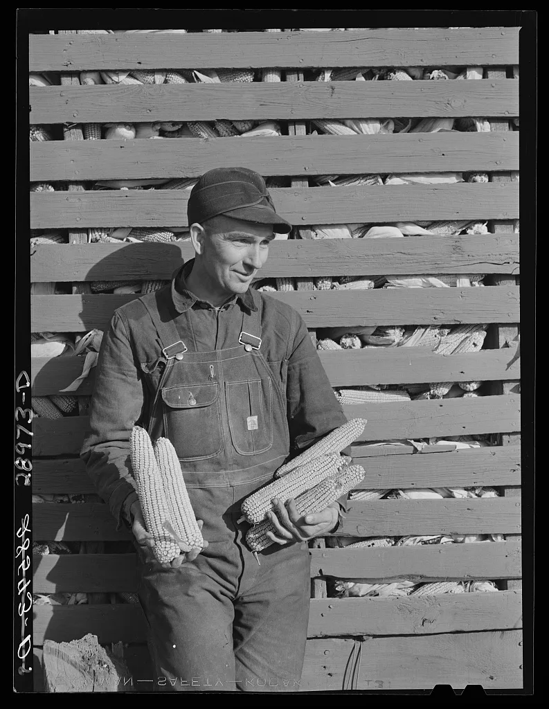 Fred Wilfang, rehabilitation client, rents an absentee-owned 160 acre…, Iowa, 1939