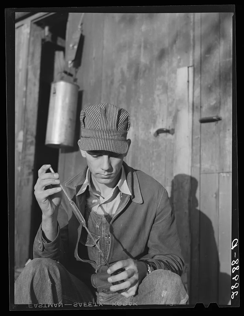 In the Triple-B Association each cow's milk is tested every two…, Iowa, 1939