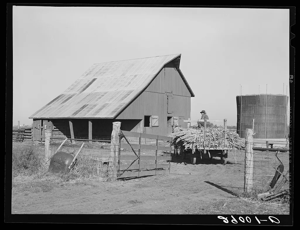Member of Bois d'Arc Cooperative drives wagon load of sorgo to…, Missouri, 1939