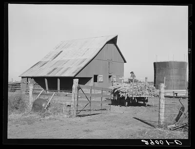 Member of Bois d'Arc Cooperative drives wagon load of sorgo to…, Missouri, 1939
