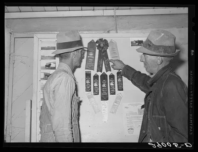 Thoroughbred livestock from the cooperatives have won many prizes at…, Missouri, 1939