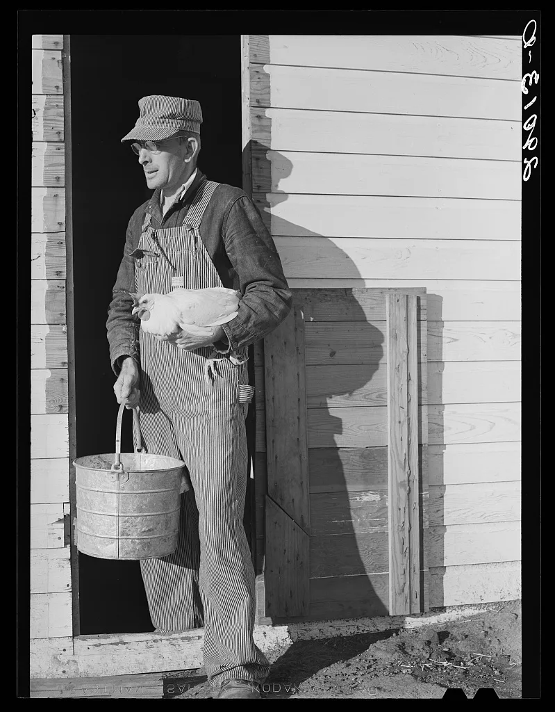 Cooperative farmers take great pride in their poultry and livestock.…, Missouri, 1939