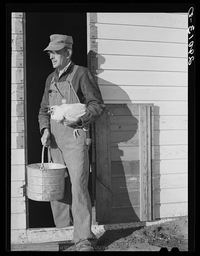 Cooperative farmers take great pride in their poultry and livestock.…, Missouri, 1939