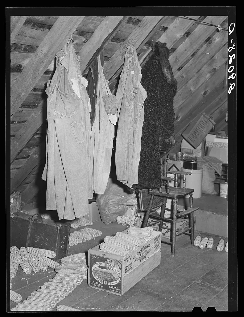 [Untitled photo, possibly related to: Open pollenated corn stored in…, Iowa, 1939