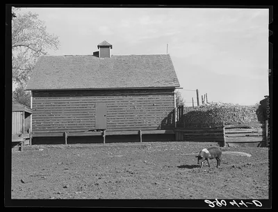 Corn cribs. Fred Goecke's farm. Marshall County, Iowa, 1939
