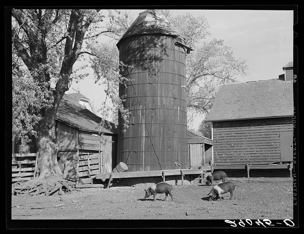Corncrib and silo on Fred Goecke's farm. Marshall County, Iowa, 1939
