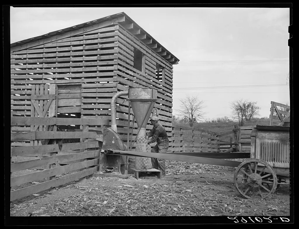 Grinding corn for feed. Boone County, Missouri, 1939